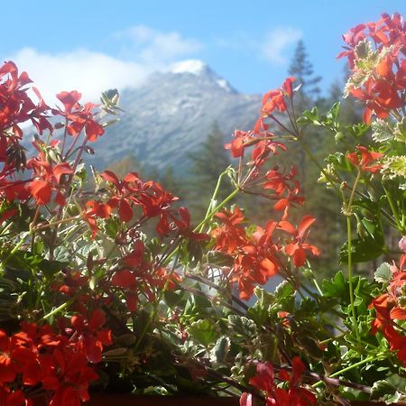Erika Penzion Vysoke Tatry Exterior photo